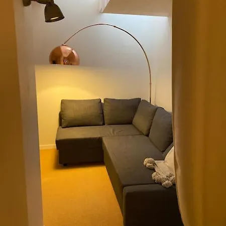 Loft De Charme Avec Jardin Prive Et Parking, A 5 Min Du Vieux-bassin Apartman *