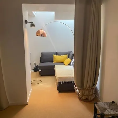 Loft De Charme Avec Jardin Prive Et Parking, A 5 Min Du Vieux-bassin *