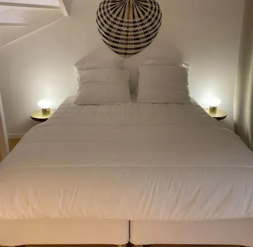 Loft/jardin Et Parking : Le Petit Clos Bourdet Апартаменты